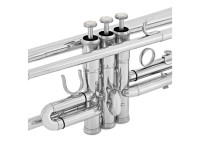 Amadeus TP 807N Nickel Amadeus TP 807N Nickel